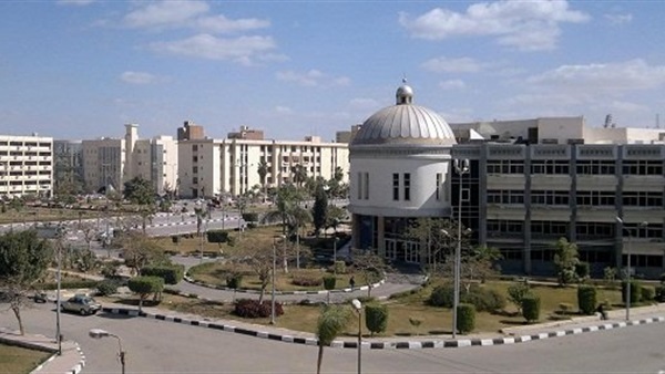 جامعة الفيوم تعقد برنامج مكثف لتدريس «TOEFL» جامعة الفيوم تعقد برنامج مكثف لتدريس «TOEFL»