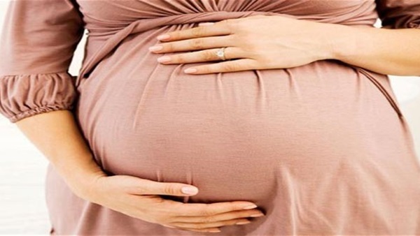 اليوم.. "قومي السكان" يناقش محاور خطة الصحة الإنجابية بالوادي الجديد اليوم.. "قومي السكان" يناقش محاور خطة الصحة الإنجابية بالوادي الجديد