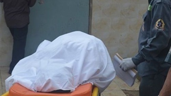 مصرع شخصين وطفل أسفل عجلات أحد القطارات بقنا مصرع شخصين وطفل أسفل عجلات أحد القطارات بقنا