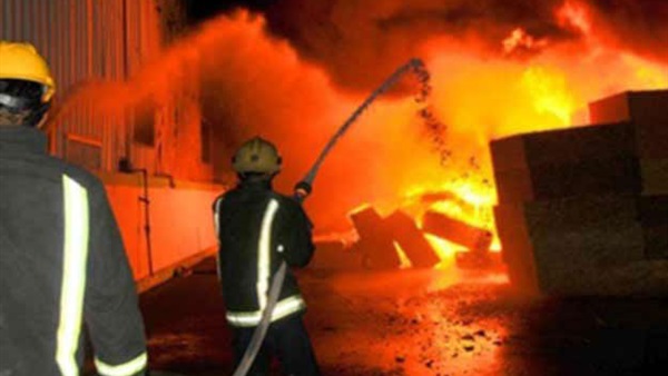السيطرة على حريق شب بزراعات النخيل في أسوان