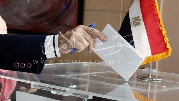 فى حب مصر تحصد 300 صوت فى سوهاج فى حب مصر تحصد 300 صوت فى سوهاج