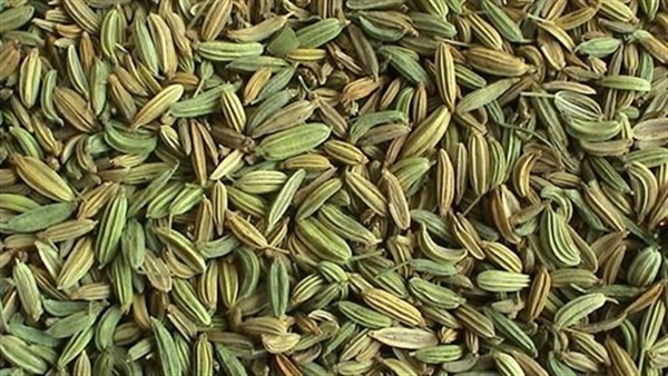 دراسة: الشمر والريحان تخلص الجسم من السموم والسوائل الزائدة