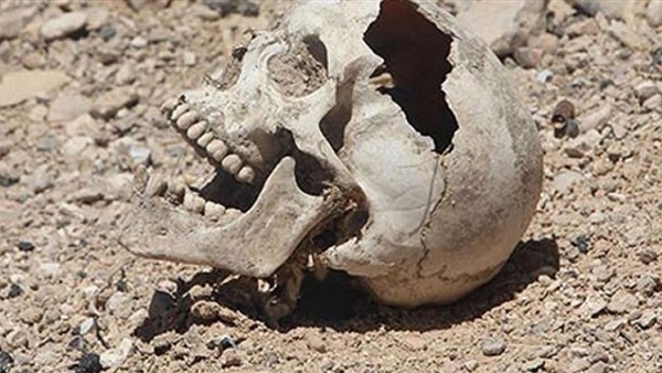 قناة روسية تكشف عن جرائم داعش بتدمر اليمنية