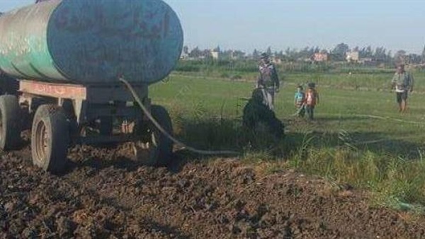 بدء تجفيف مساحات الأرز المنزرعة بالمخالفة في الدقهلية بدء تجفيف مساحات الأرز المنزرعة بالمخالفة في الدقهلية