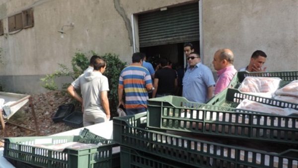  ضبط 600 كيلو دجاج مجهولة المصدر في البحيرة