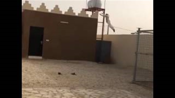بالفيديو.. هروب شاب سعودي من مطاردة نمر بالفيديو.. هروب شاب سعودي من مطاردة نمر