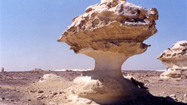 «البيئة» تنفذ عددًا من الفعاليات بالمحافظات بمناسبة «يوم البيئة العالمي» «البيئة» تنفذ عددًا من الفعاليات بالمحافظات بمناسبة «يوم البيئة العالمي»