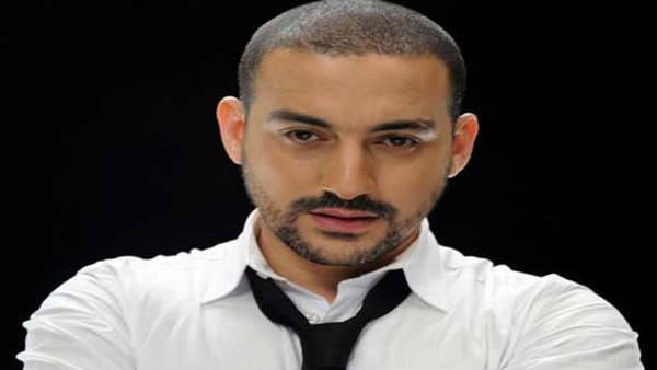 دياب يعيش حالة من النشاط الفنى