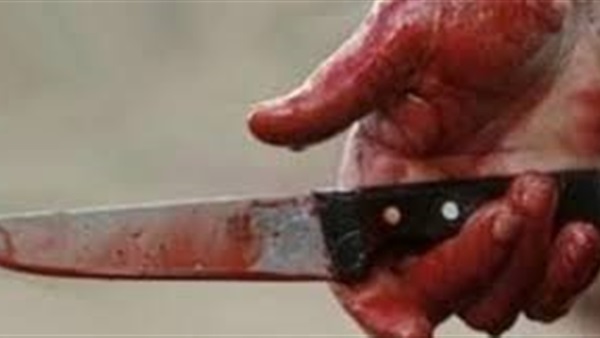 سيدة تقتل زوجها بمساعدة عشيقها خشية إفتضاخ أمرههما في الدقهلية