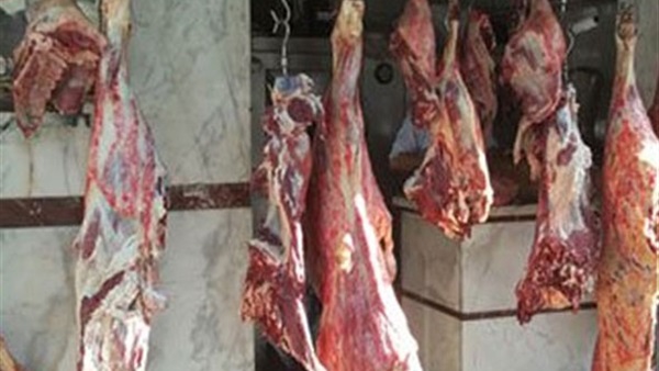إقبال على منافذ بيع اللحوم بالدقهلية والأهالي يطالبون بتشديد الرقابة إقبال على منافذ بيع اللحوم بالدقهلية والأهالي يطالبون بتشديد الرقابة