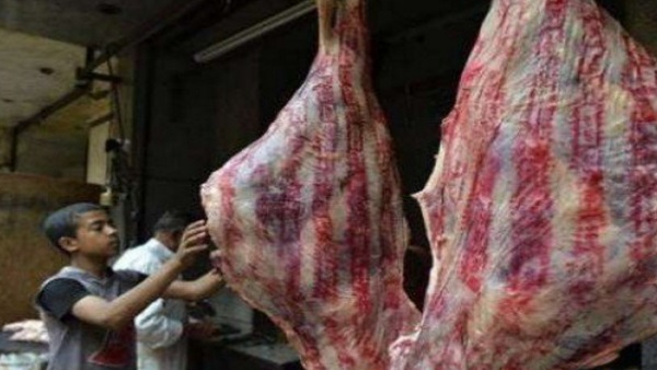 طرح لحوم سودانية بالمنيا بـ 55 جنيها للكيلو طرح لحوم سودانية بالمنيا بـ 55 جنيها للكيلو