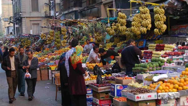 بالصور..مورجان فريمان يروج للسياحة فى مصر بالصور..مورجان فريمان يروج للسياحة فى مصر