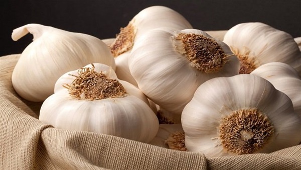 8 فوائد سحرية للثوم 8 فوائد سحرية للثوم
