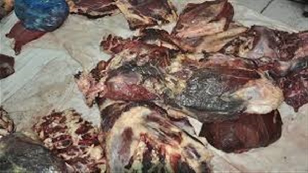 ضبط 27 طن لحوم فاسدة داخل مصنع في القليوبية ضبط 27 طن لحوم فاسدة داخل مصنع في القليوبية
