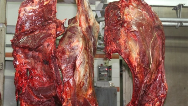 ضبط نصف طن أسماك ولحوم «فاسدة» بالخانكة