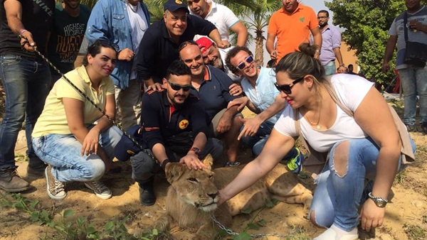 بالصورة.. لوبا وأوسا الحلو ينقذان "رامز جلال " من مهاجمة الأسد أثناء التصوير 