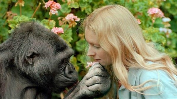  بالصور.. جابرالقرموطى يسخر من أفعال أهالى الإسكندرية على الهواء