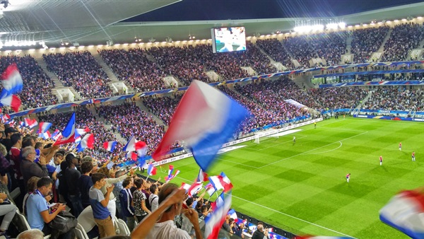 خليفة "الاخطبوط بول" تتوقع فوز إيرلندا الشمالية بلقب اليورو خليفة "الاخطبوط بول" تتوقع فوز إيرلندا الشمالية بلقب اليورو