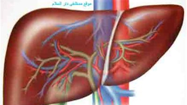 مؤسسة الكبد المصري تنظم حفل إفطار لـ«نواب الدقهلية»