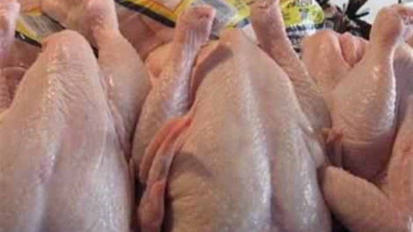ضبط 3 طن هياكل دجاج غير صالحة للإستخدام الادامى بالقليوبية