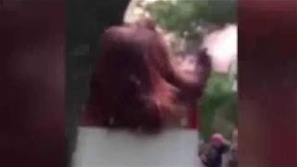 بالفيديو.. فرار غوريلا من قفصها في حديقة حيوان بالفيديو.. فرار غوريلا من قفصها في حديقة حيوان