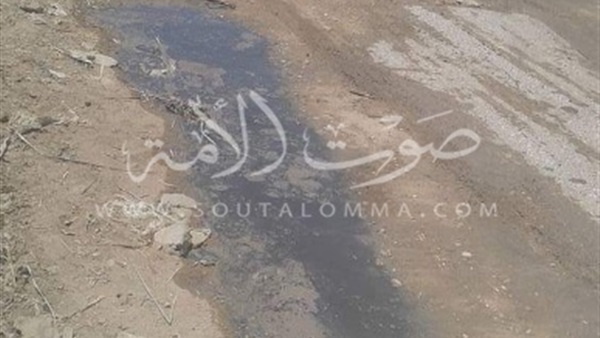 بالصور..القاء مخلفات الصرف الصحى على طريق الشواشنة بالفيوم بالصور..القاء مخلفات الصرف الصحى على طريق الشواشنة بالفيوم