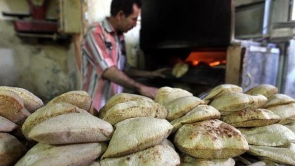 تشغيل 301 مخبزا جديدا بالمنيا تشغيل 301 مخبزا جديدا بالمنيا
