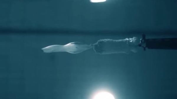 بالفيديو.. عالم مجنون يثبت نظريته باطلق النار تحت الماء  