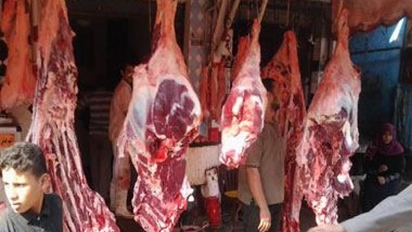 ضبط 575 كيلو لحوم ودواجن فاسدة داخل مطعم شهير بالدقى ضبط 575 كيلو لحوم ودواجن فاسدة داخل مطعم شهير بالدقى