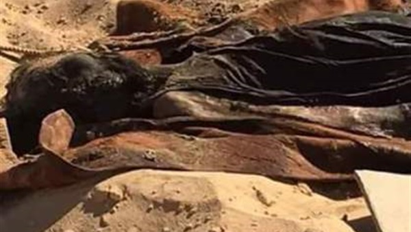 العثور على مقبرة جماعية جنوب مدينة أجدابيا الليبية