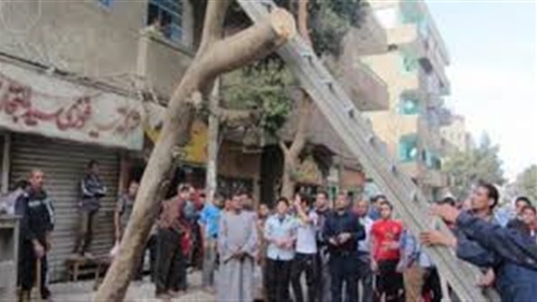 الإنقاذ البري يزيل آثار سقوط شجرتين في الدقي والعجوزة الإنقاذ البري يزيل آثار سقوط شجرتين في الدقي والعجوزة