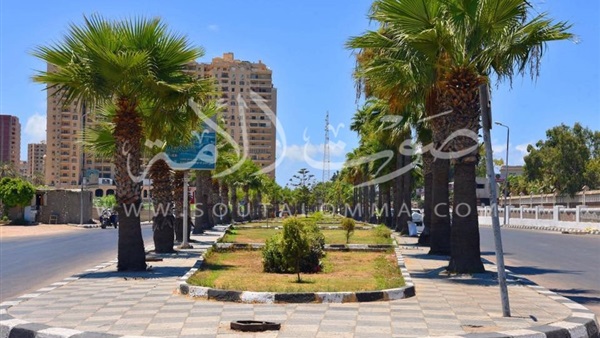 بالصور..محافظة الإسكندرية تتزين احتفالاً بعيدها القومي بالصور..محافظة الإسكندرية تتزين احتفالاً بعيدها القومي