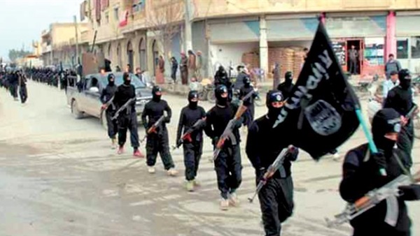 خبير عسكري: لا يمكننا الجزم بتورط داعش في إسقاط الطائرة الروسية خبير عسكري: لا يمكننا الجزم بتورط داعش في إسقاط الطائرة الروسية