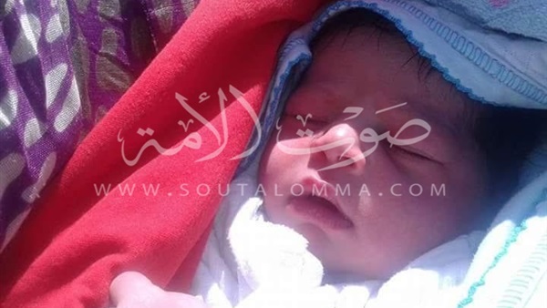 أهالى القليوبية يعثرون على طفلة ملقاه فى الشارع بطوخ أهالى القليوبية يعثرون على طفلة ملقاه فى الشارع بطوخ