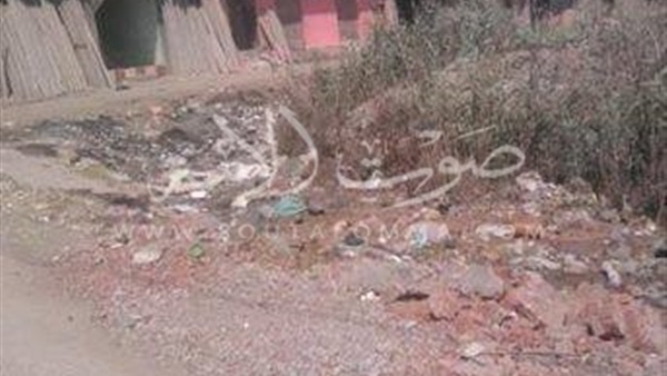 أهالي قرية«الحدادى» بكفر الشيخ يستغيثون من مشكلة الصرف الصحى