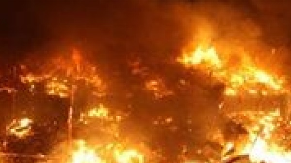 حريق هائل يلتهم مزرعة الغابات الشجرية الحكومية بسوهاج حريق هائل يلتهم مزرعة الغابات الشجرية الحكومية بسوهاج