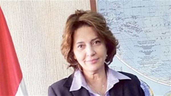 «صفاء حجازي»: تنفيذ مشروع الهيئة الوطنية للإعلام حال صدوره «صفاء حجازي»: تنفيذ مشروع الهيئة الوطنية للإعلام حال صدوره