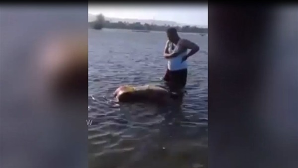 بالفيديو.. انتشال جثة شاب مجهول الهوية غرق فى مياه النيل بقنا
