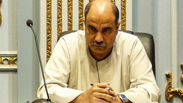 وكيل الزراعة بالنواب: «احنا مش جايين هنا نزهة» وكيل الزراعة بالنواب: «احنا مش جايين هنا نزهة»