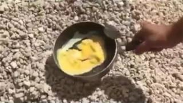 بالفيديو..عراقيون يستغلون درجة الحرارة ويقلون البيض تحت أشعة الشمس بالفيديو..عراقيون يستغلون درجة الحرارة ويقلون البيض تحت أشعة الشمس