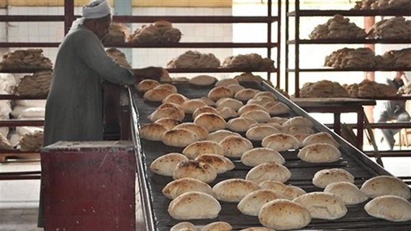 رئيس «تقصي الحقائق»: يوجد استنزاف واضح لمنظومة الخبز