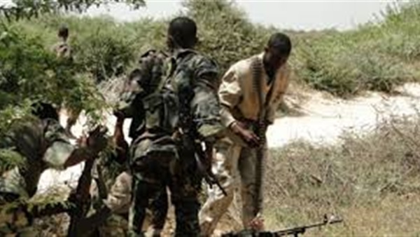 وزير الدفاع الجيبوتي يقف على أوضاع قوات بلاده في الصومال