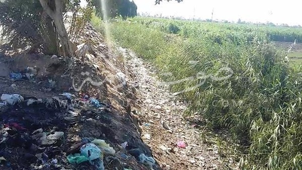 بالفيديو والصور.. نقص«مياه الري» أزمة تهدد أراضي بني سويف بالبوار.. المزارعون نلجأ لـ«الطلمبات».. وكيل الوزارة: «المناوبات مستمرة» والشكاوى فى أيام «البطالة» بالفيديو والصور.. نقص«مياه الري» أزمة تهدد أراضي بني سويف بالبوار.. المزارعون نلجأ لـ«الطلمبات».. وكيل الوزارة: «المناوبات مستمرة» والشكاوى فى أيام «البطالة»