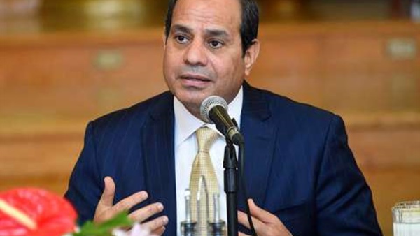 أستاذ تمويل واستثمار: برنامج السيسي يعيد بناء مصر