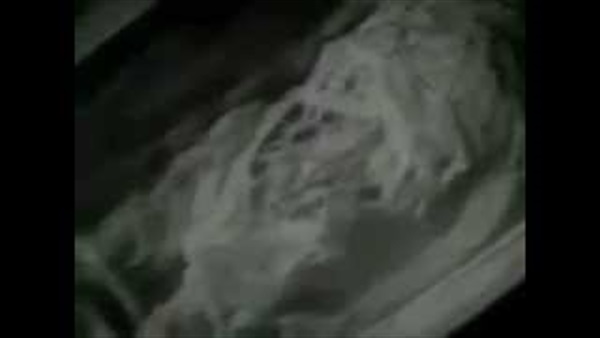 بالفيديو.. روسيا تعثر على جثة «كائن فضائي» في مصر