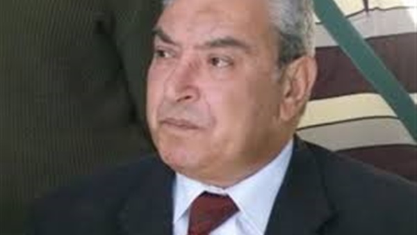 «لا للإرهاب والفتنة الطائفية» ندوة بقرية صفانية بالمنيا