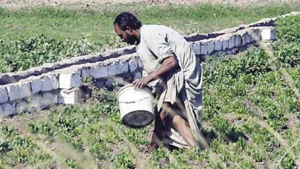 ضبط 9 أطنان مواد خام مبيدات زراعية مجهولة المصدر بالبحيرة ضبط 9 أطنان مواد خام مبيدات زراعية مجهولة المصدر بالبحيرة