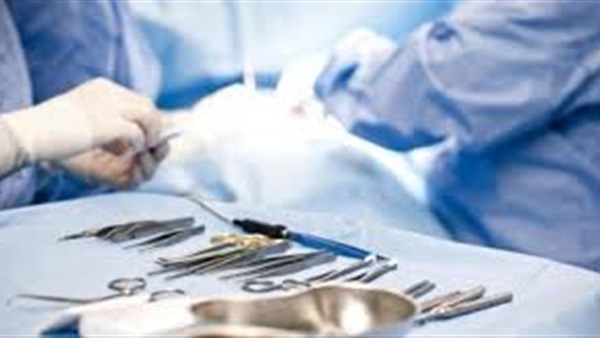 بالصور.. عملية جراحية تناسلية لأنثى حمار من أجل الولادة في الدقهلية بالصور.. عملية جراحية تناسلية لأنثى حمار من أجل الولادة في الدقهلية