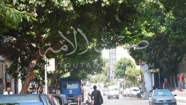 بالصور.. الهدوء يسيطر على ميدان التحرير فى ذكرى افتتاح القناة الجديدة بالصور.. الهدوء يسيطر على ميدان التحرير فى ذكرى افتتاح القناة الجديدة