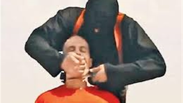 وصول رئيس لجنة تحقيق «الطائرة الروسية» إلى مصر وصول رئيس لجنة تحقيق «الطائرة الروسية» إلى مصر